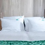 Natural 1 Gardenia Z Widokiem Na Morze Epapartamenty Dziwnów